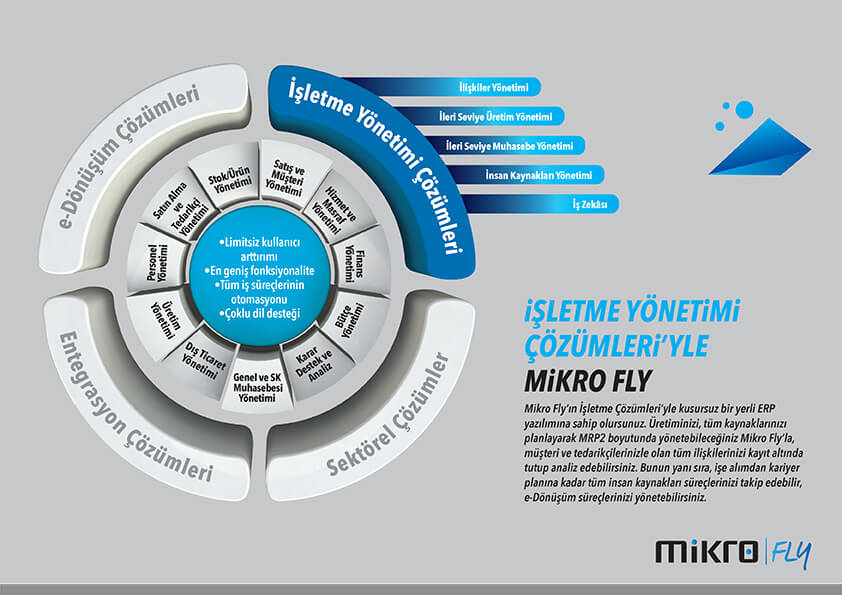 Mikro Fly